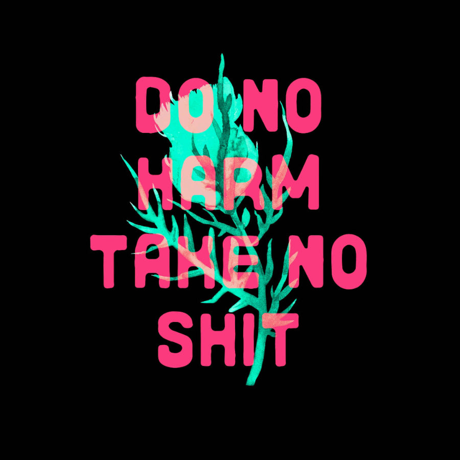 Text 'DO NO HARM TAKE NO SHIT' with green abstract design on a black background