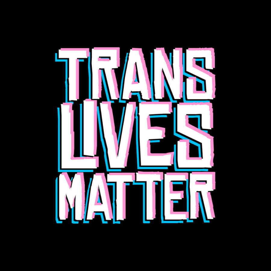 Text 'TRANS LIVES MATTER' in pink and blue on a black background