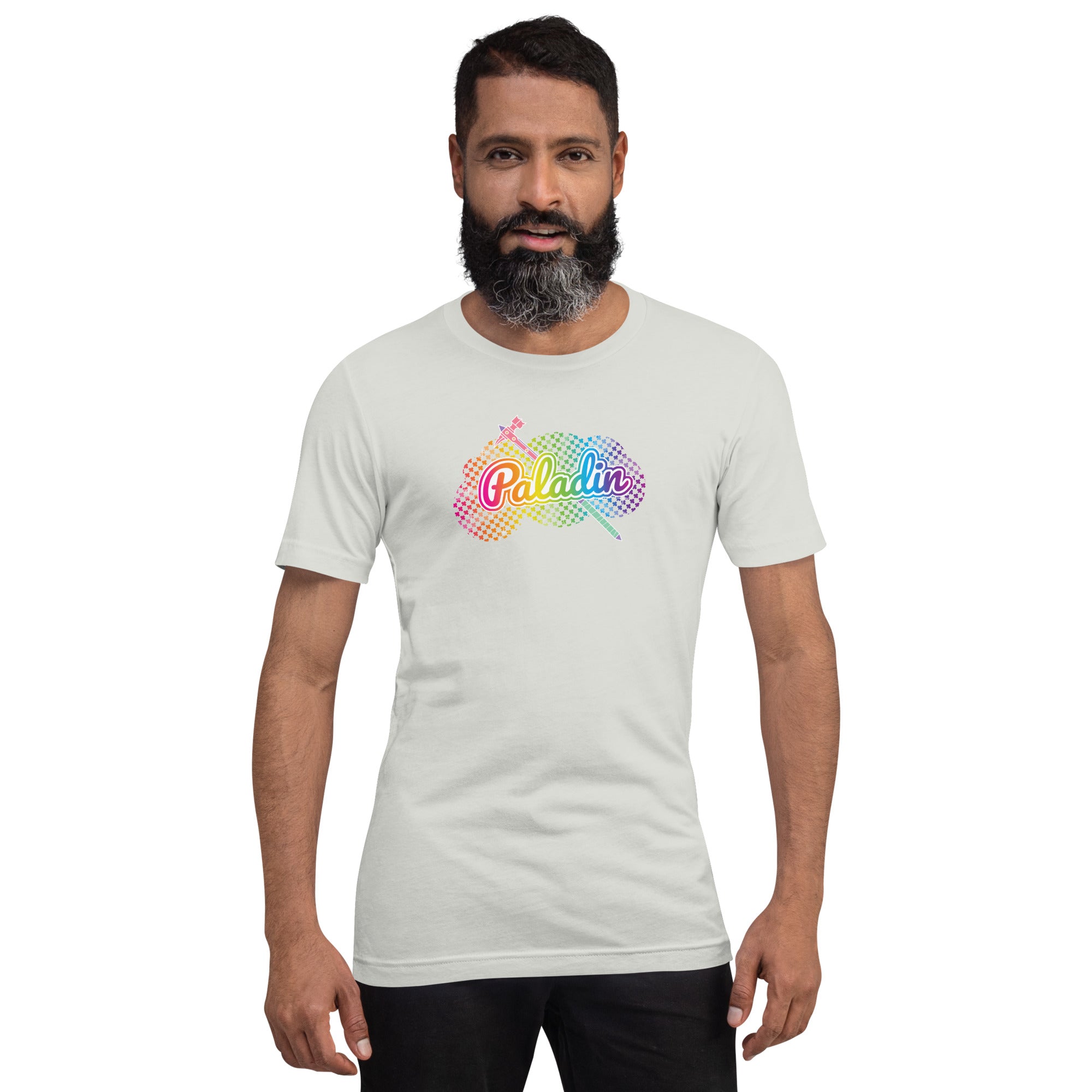 Rainbow classes: Paladin! Unisex fit tee